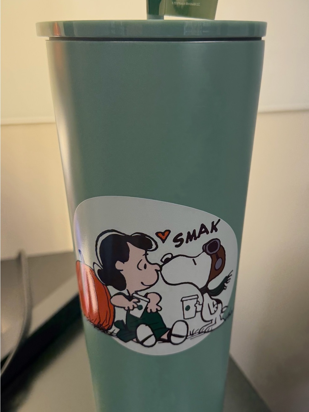 Starbucks X Peanuts stainless Steel Tumbler